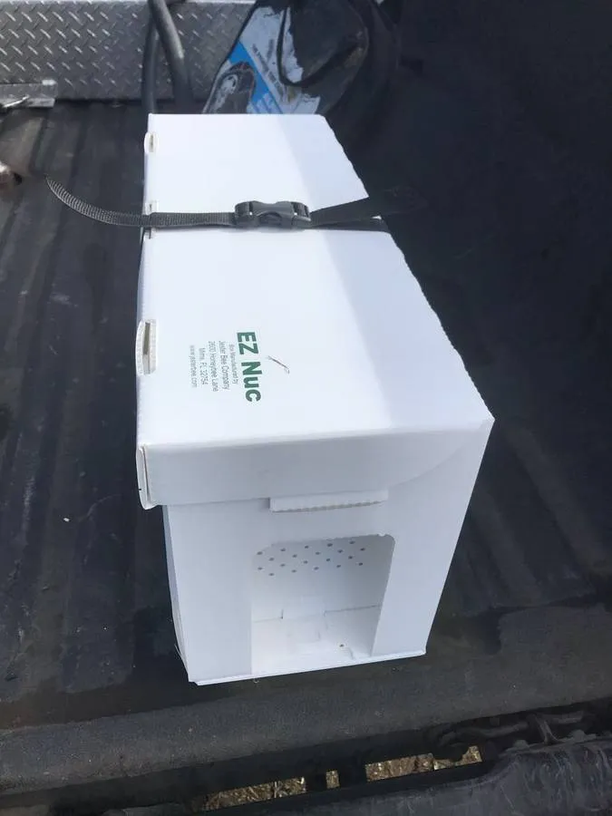 2025 -  5 Frame Honey Bee Nuc - 2024/2025 Queen