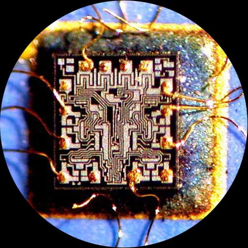 AmScope PM230 Series Zoom Binocular Stereo Microscope 8X-80X Magnification on Track Stand with Common Main Objective(CMO) and Dual Illumination