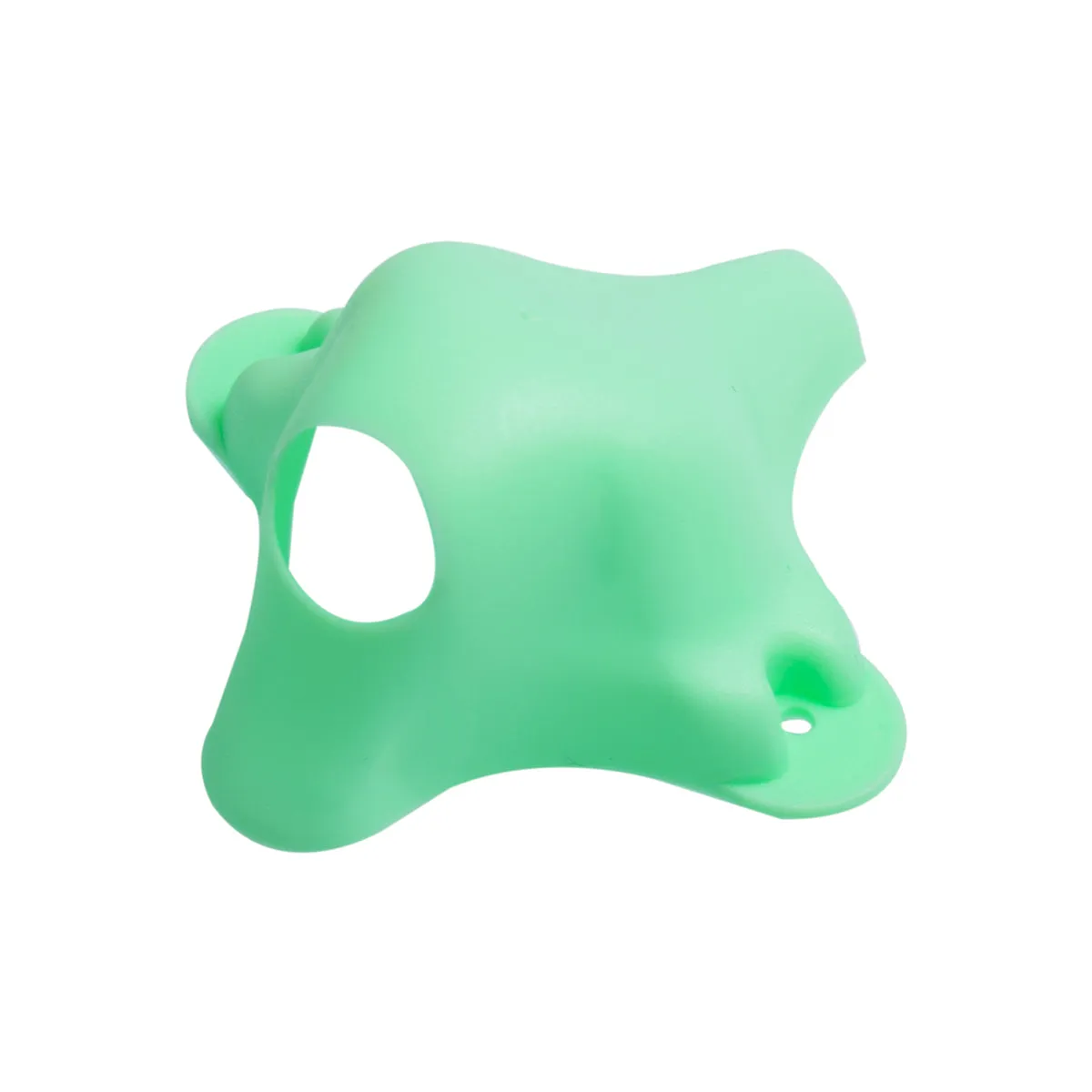Canopy for Micro Camera