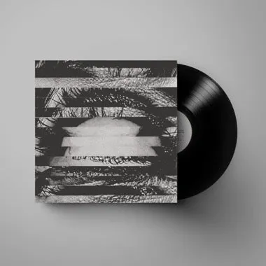 Re-Pinned LP