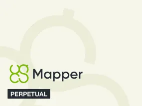 UgCS Mapper Perpetual License