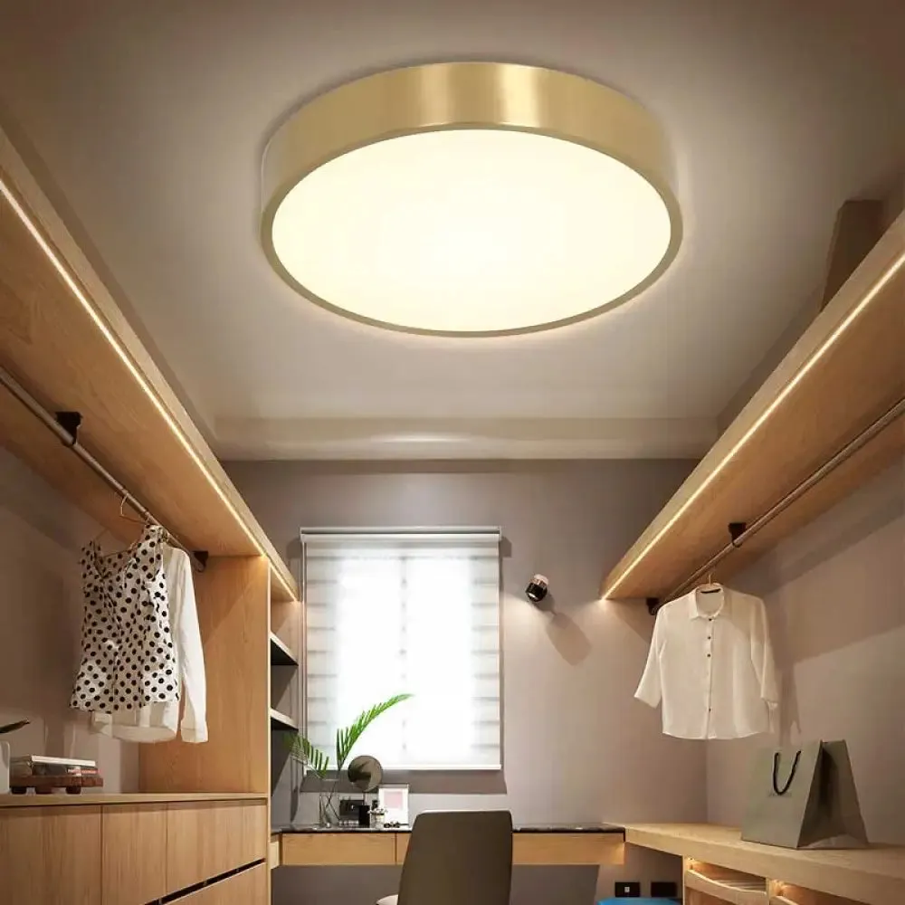 Ultra Thin Modern Brass LED Flush Mount Light, 12"/16"/19.5" Dia, Acrylic Diffuser, Warm/White, for Bedroom Ceilings