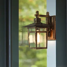 Vintage Birdcage Wall Light - Single Head Clear Glass Lamp in Bronze